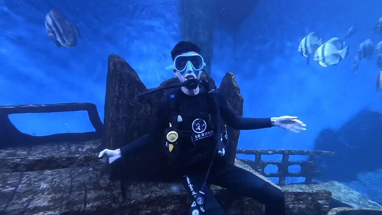 海岛大亨5