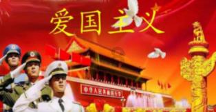哈尼和她的宠物们