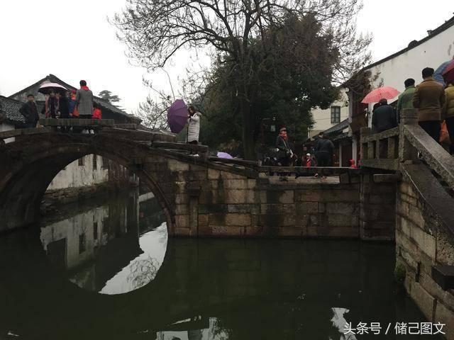 盘点那些让宠物鱼生病的小动作,鱼缸绝不会无缘无故地死鱼