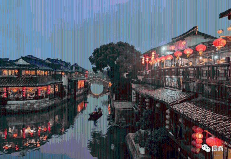 盘点那些让宠物鱼生病的小动作，鱼缸绝不会无缘无故地死鱼